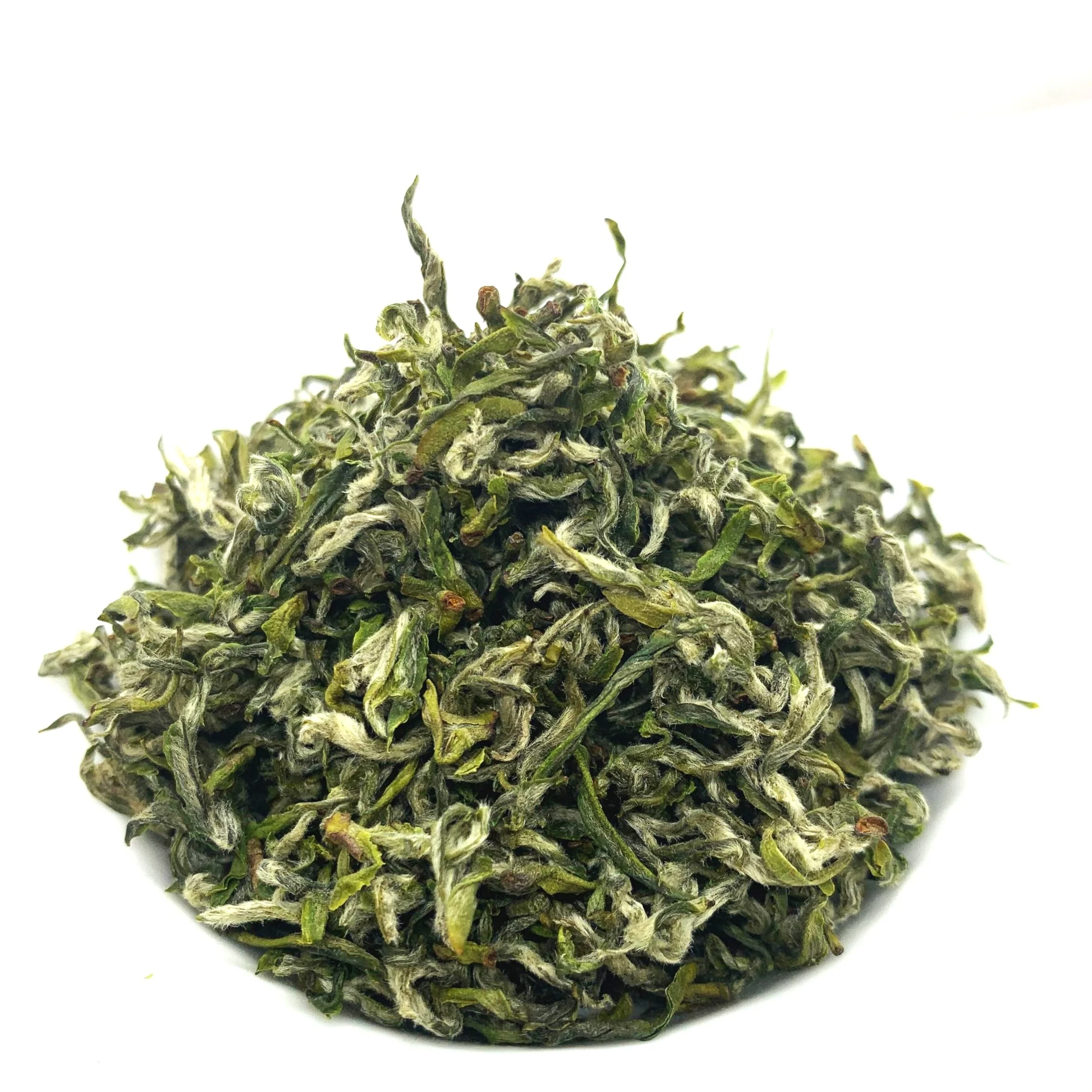 Green and White Tea - Fresh, Directly Imported Fine Teas — Trident